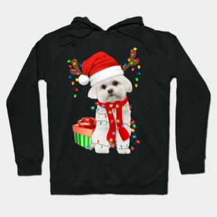 Funny Dog Maltese Wearing Santa Hat Christmas Lights Gift For Dog Lover Hoodie